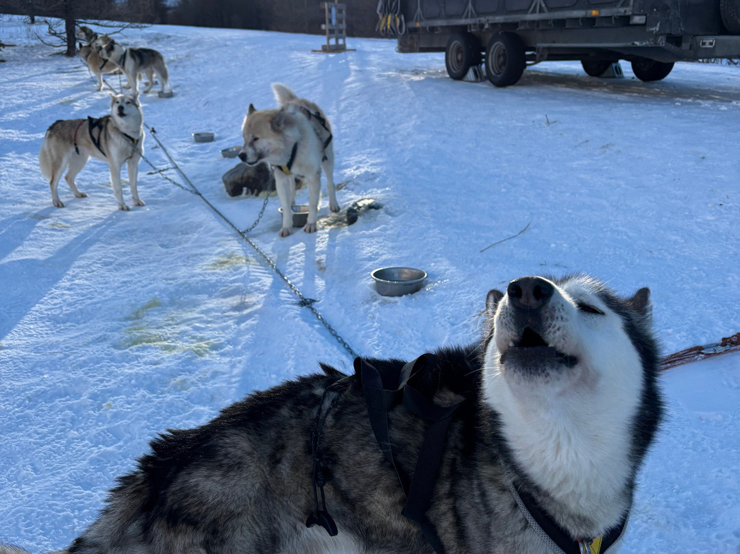 Leila'venture-Molines-en-Queyras必去景点