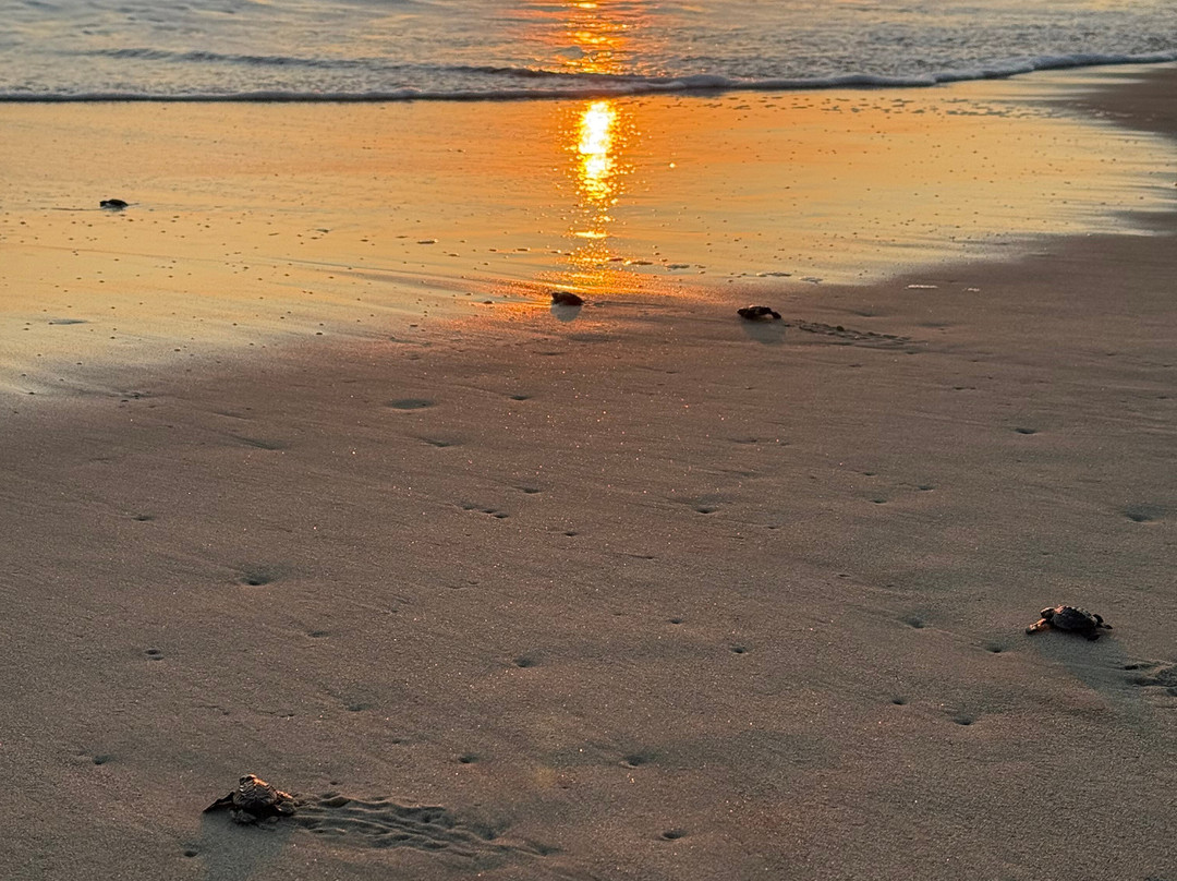 Oscar Velasquez-瓦图尔科必去景点