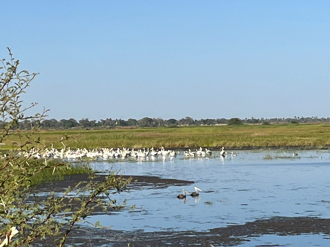 Youba Tour-索蒙必去景点