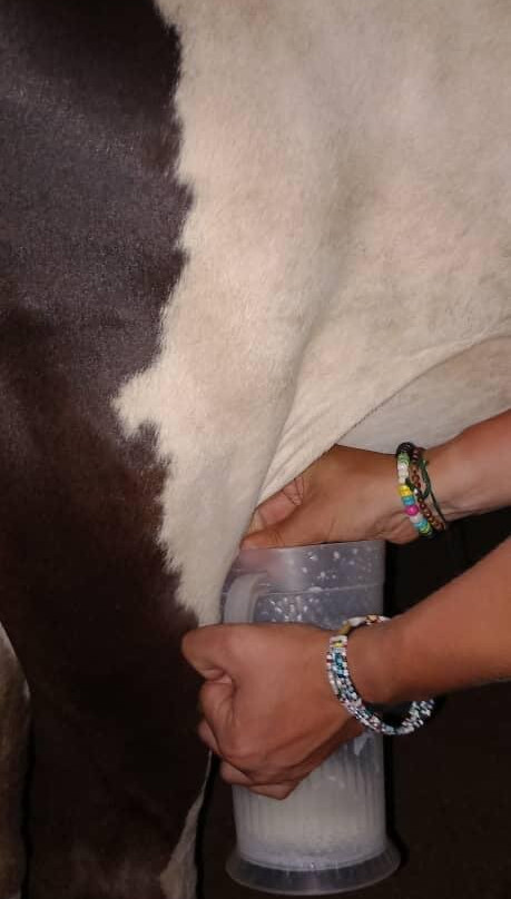 Maasai Village Tour-Pangani必去景点