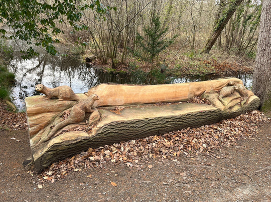 Fairhaven Woodland and Water Garden-South Walsham必去景点