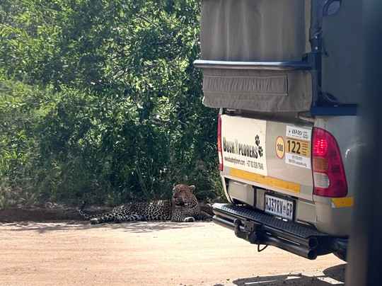 Bush Xplorers-雾观必去景点