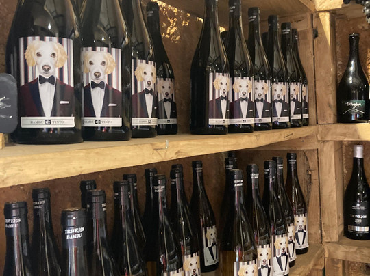 Alma de Trevejos-Vilaflor必去景点