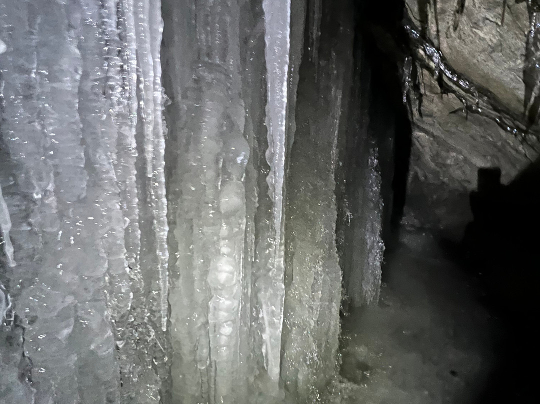 Uplift Adventures-科尔曼必去景点