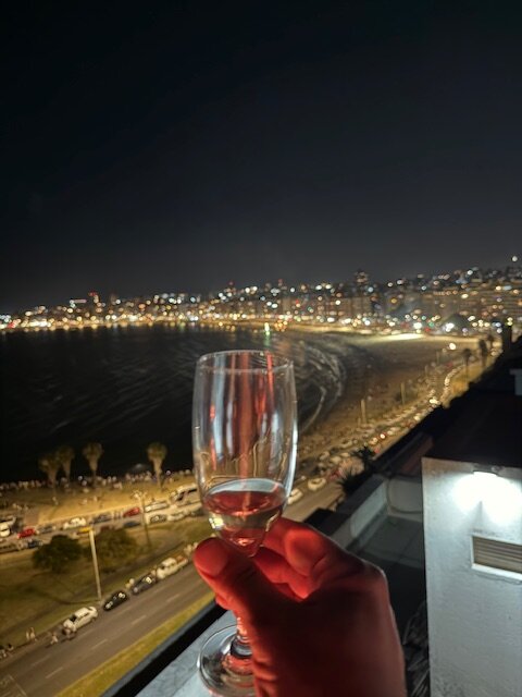 Hyatt Centric Montevideo-官方