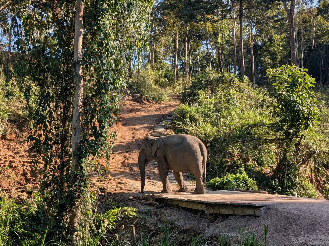 Chang Chill-Mae Win必去景点