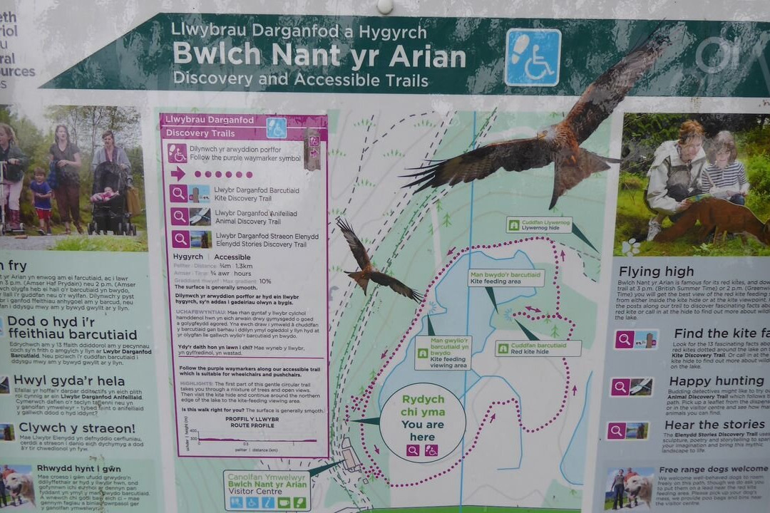 Bwlch Nant yr Arian Forest Visitor Centre-阿伯里斯特威斯必去景点