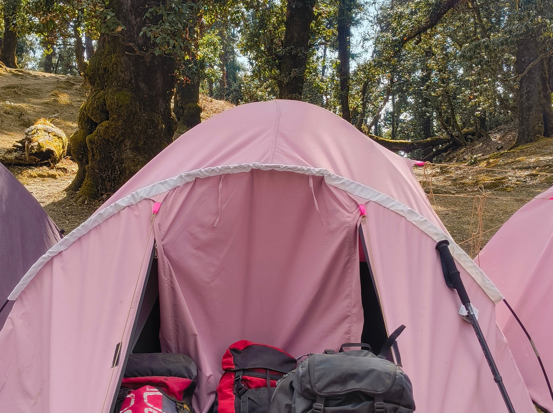 The Searching Souls-哈里瓦必去景点