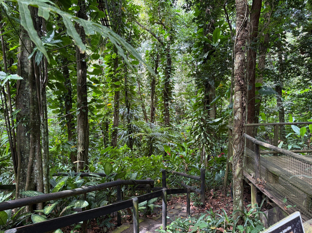 Zoo De Guadeloupe Au Parc Des Mamelles-Bouillante必去景点
