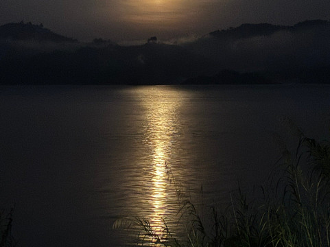 Allanblackia safaris-恩德培必去景点