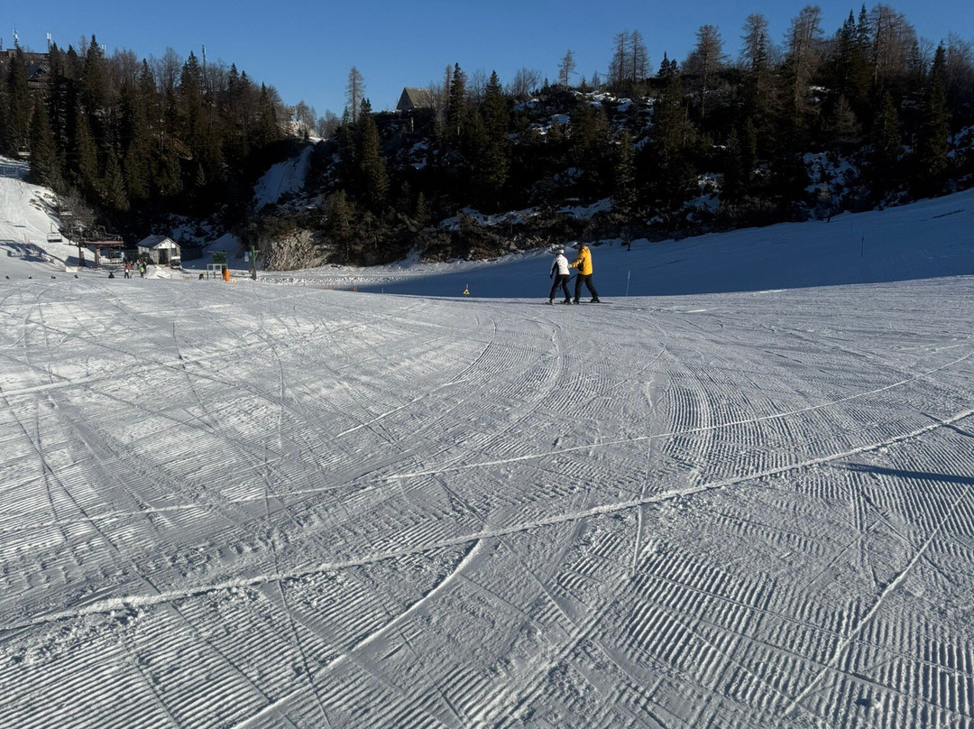Vogel Ski Center-博希尼湖必去景点