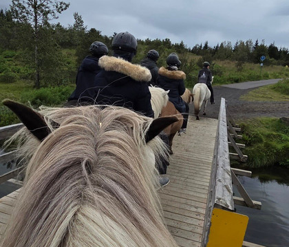 冰岛骑马之旅-雷克雅未克必去景点