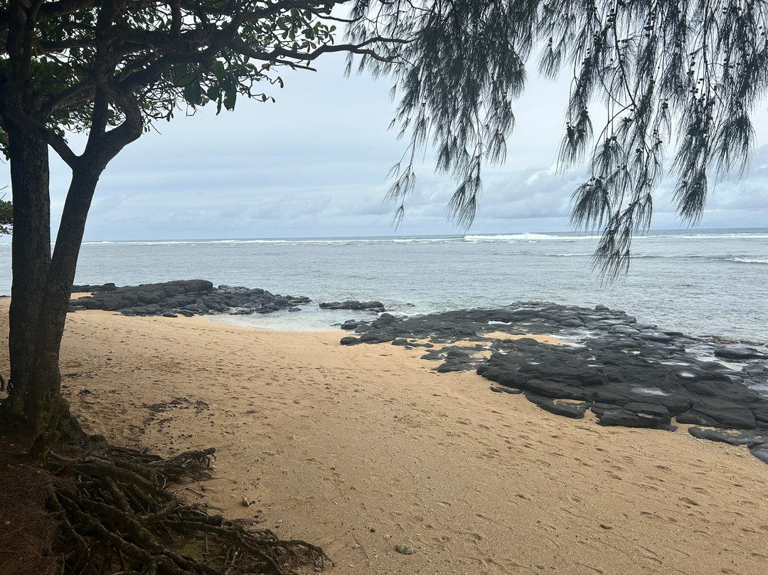 阿尼尼海滩-可爱岛必去景点