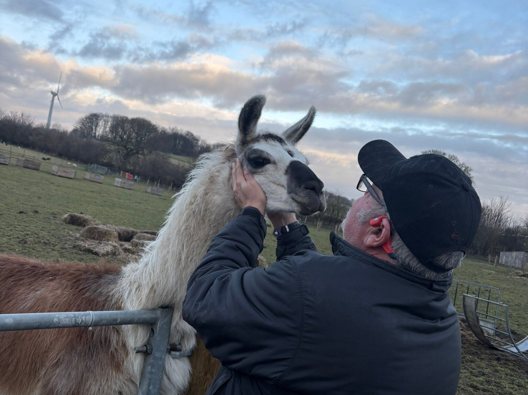 Greenlands Farm Village-Tewitfield必去景点