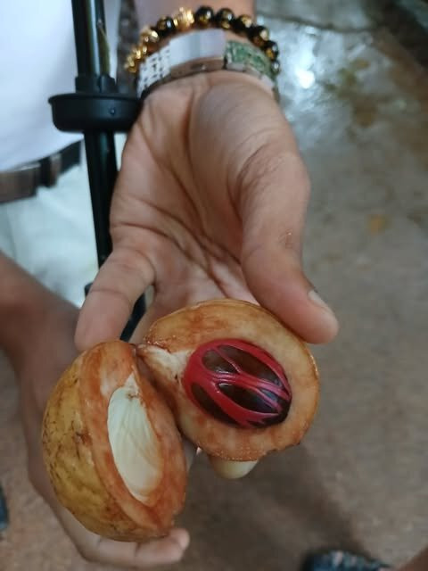 Mahaweli Tours & Holidays-Kandana必去景点