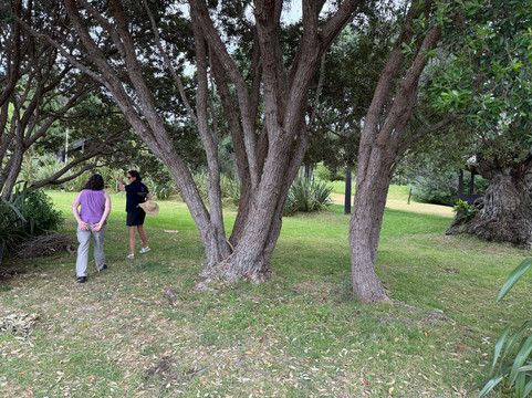 Terra And Tide-怀系奇岛必去景点