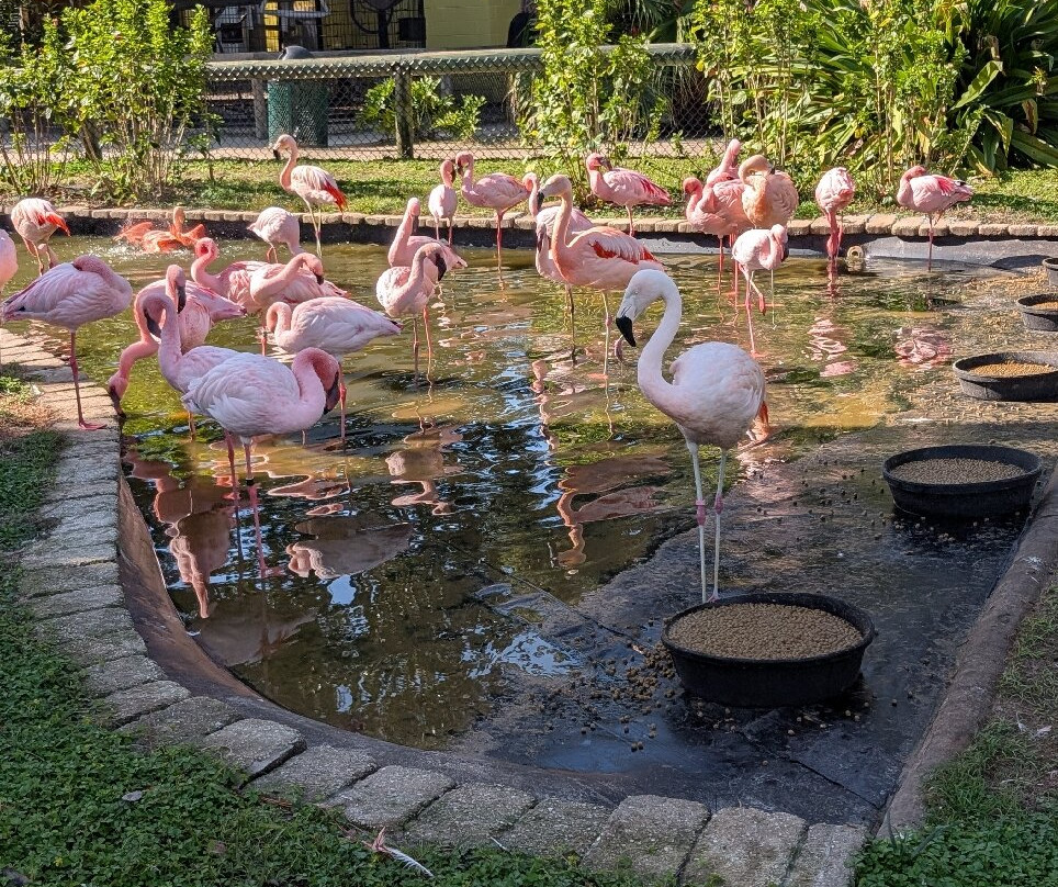 Zoo World Zoological Park-巴拿马城海滩必去景点