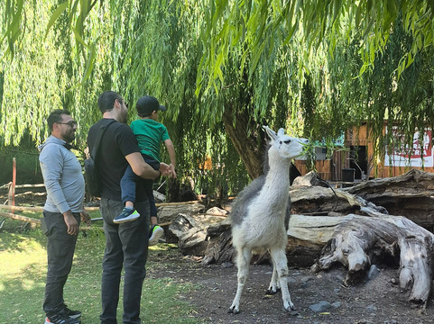 Danny Travel Tourism-圣地亚哥必去景点