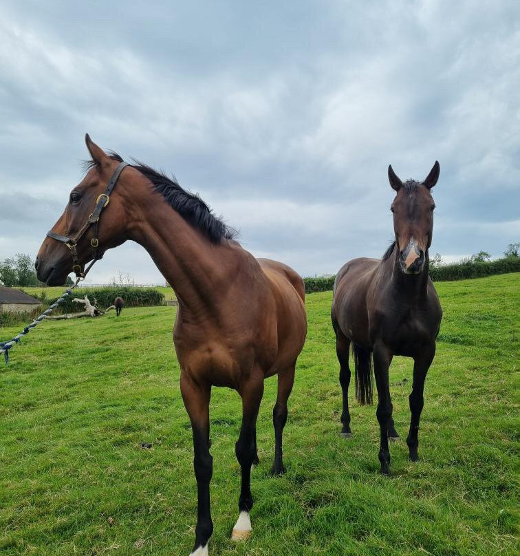 Pioneer Equestrian Coaching-Charlbury必去景点