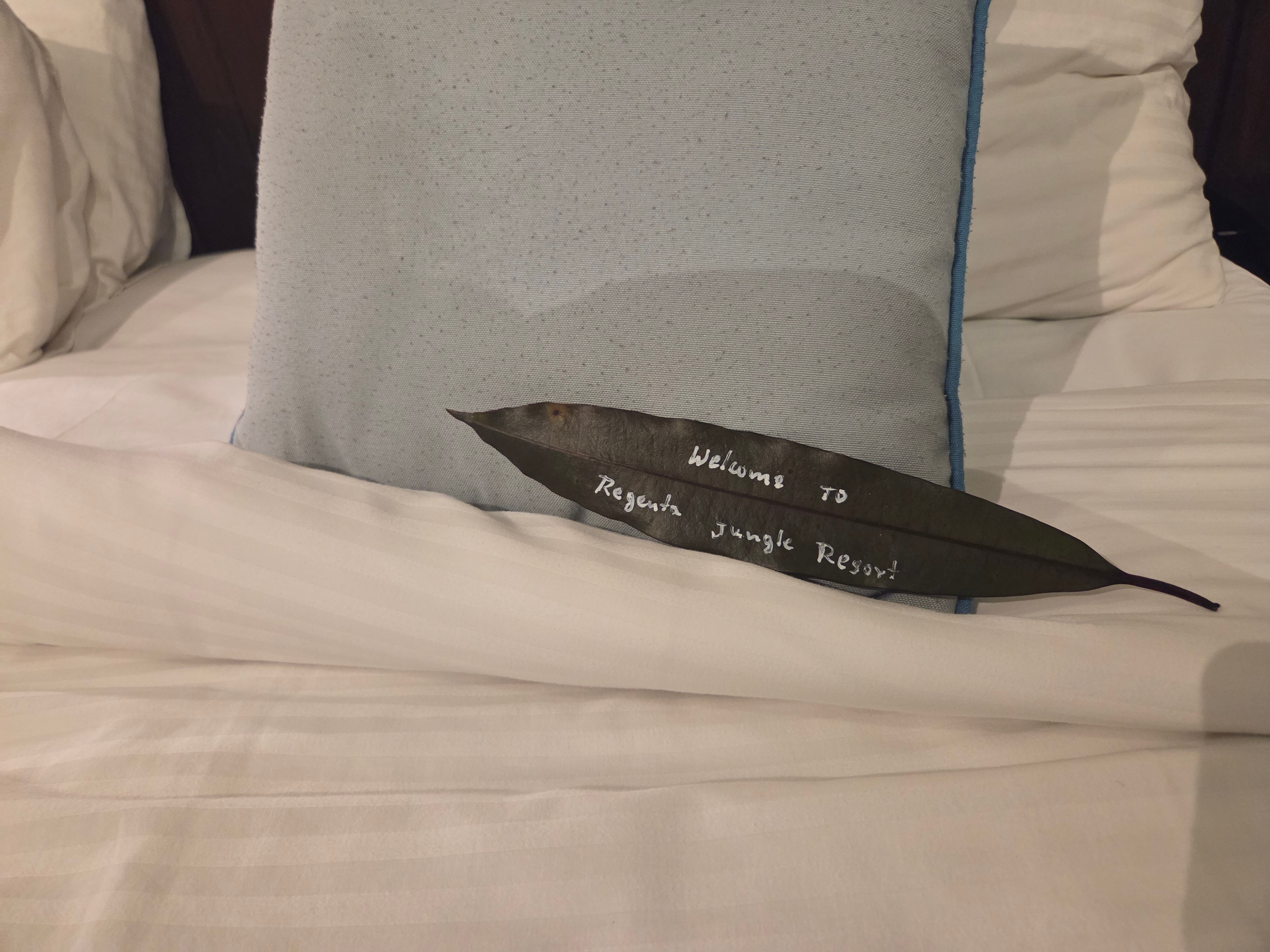 Regenta Jungle Resort Kabini Springs-官方