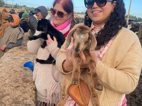 Green Adventure Maroc-索维拉必去景点