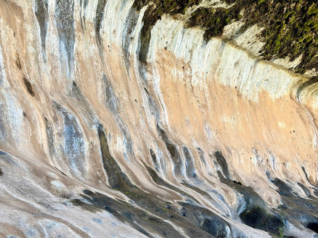 Roof of Africa Tours-Himeville必去景点