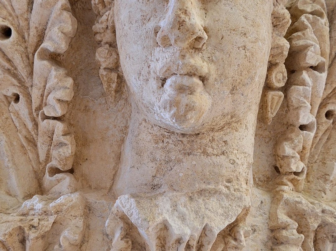 Museo Archeologico Provinciale Francesco Ribezzo-布林迪西必去景点