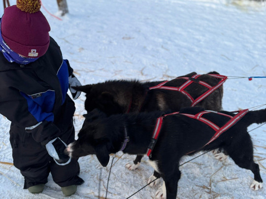 哈士奇雪橇之旅-罗瓦涅米必去景点