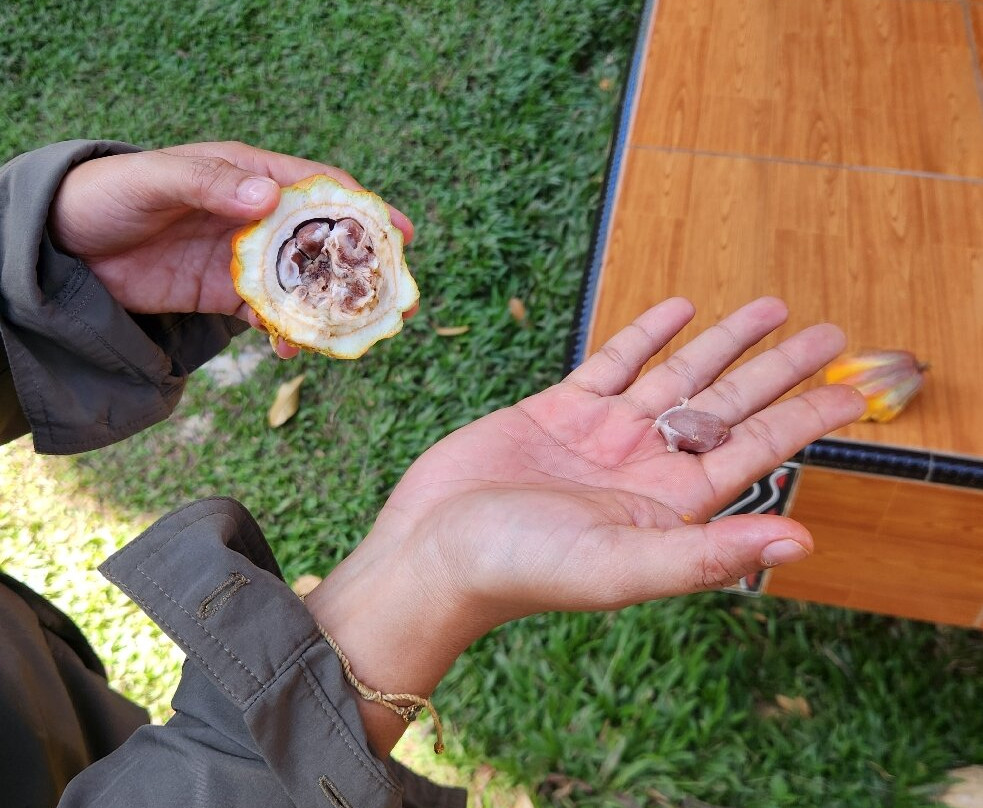 Toraja local guide-Tana Toraja必去景点