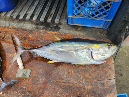 Playa Venao Fishing-维纳欧海滩必去景点