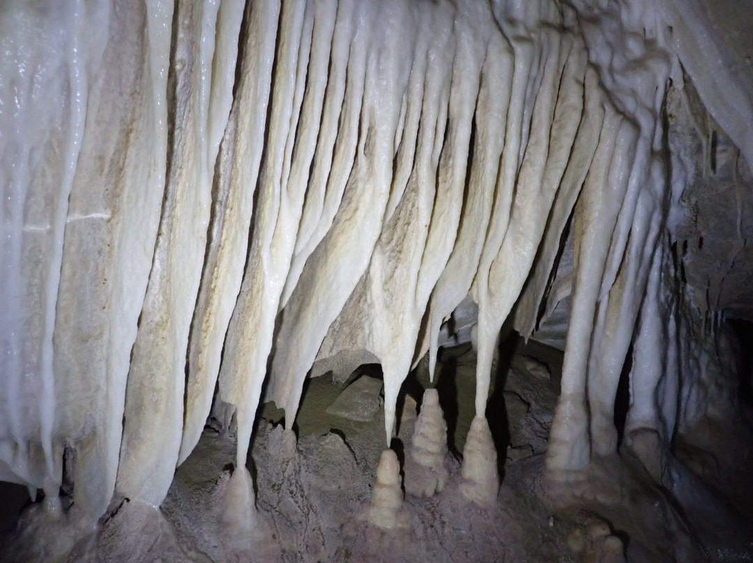 Underworld Adventures Ltd-Charleston必去景点