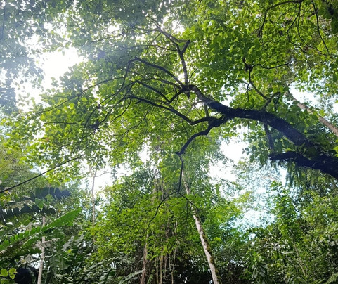 Restaurante Uchumanga