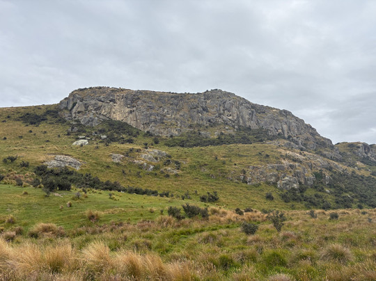 Red Carpet Tours-奥克兰中心地区必去景点