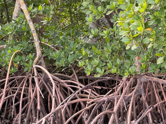 Latitudes Tours-Ruskin必去景点