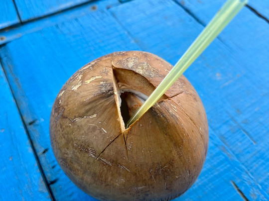 Hoi An Day Trip Company-会安必去景点