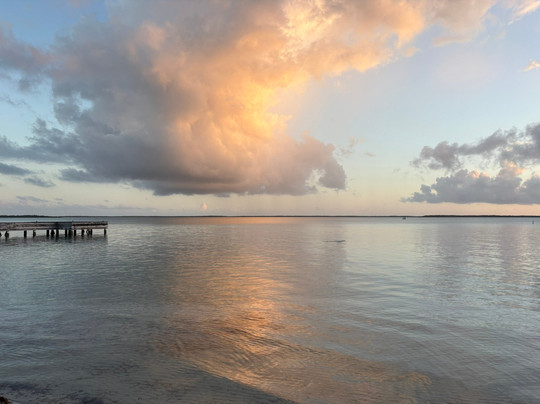 Starfish Point-大开曼岛必去景点