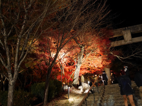 Kamado Shrine-太宰府市必去景点