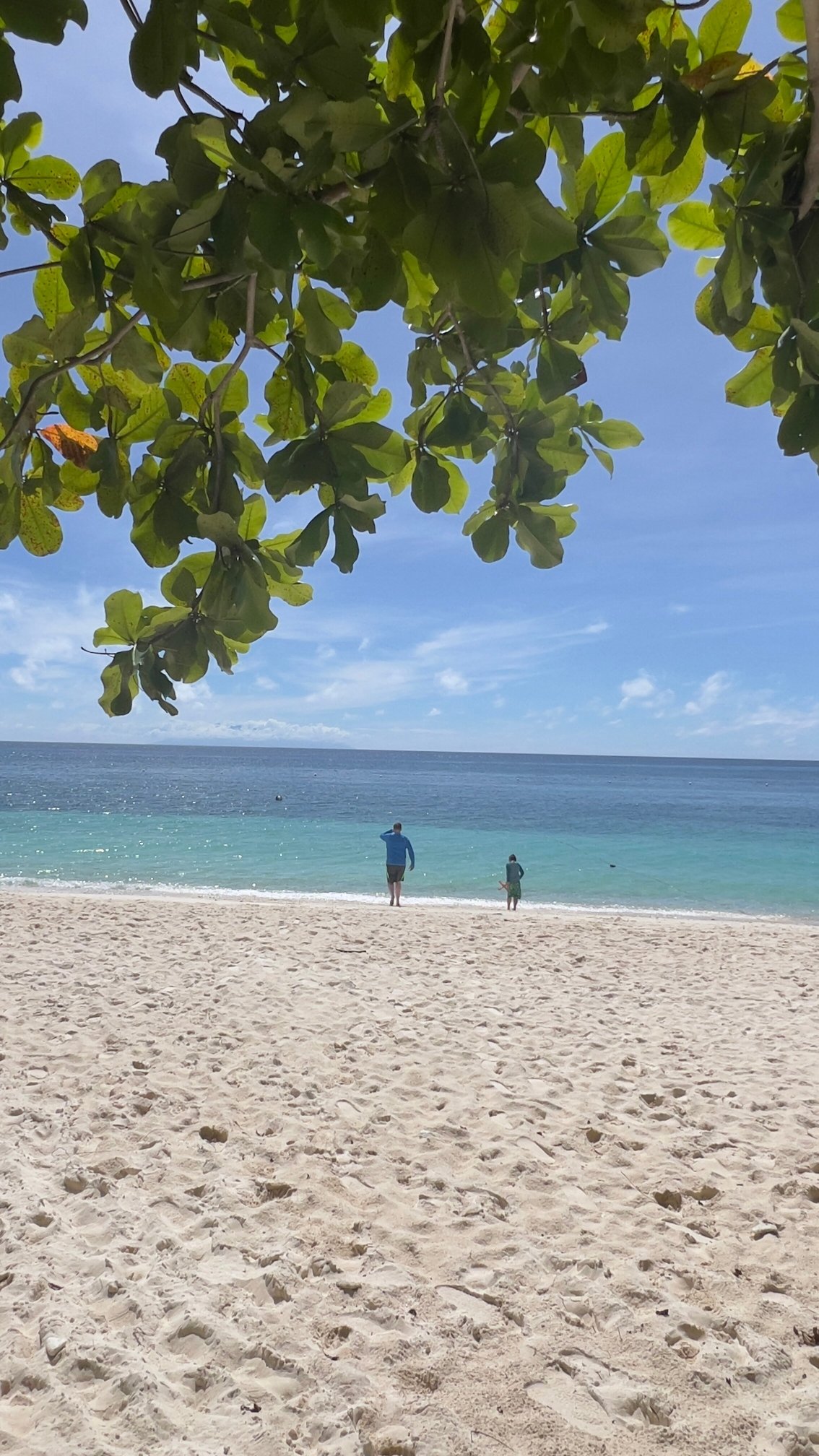 阿蒙燕丽海滩度假村-官方