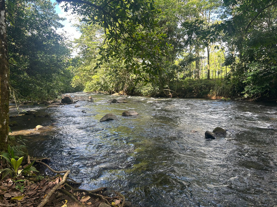 Tree Chocolate Tour-Upala必去景点