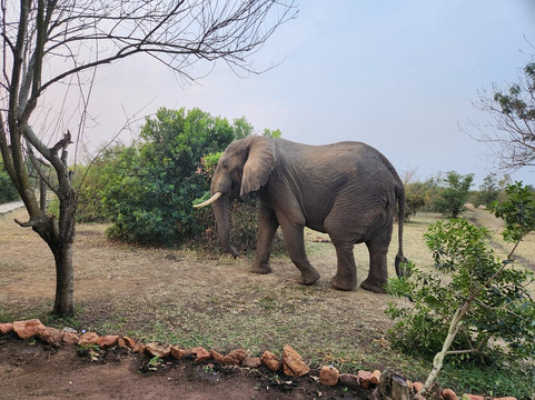 Rent A Driver Uganda-坎帕拉必去景点