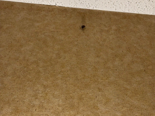 克林顿汉普顿酒店主图