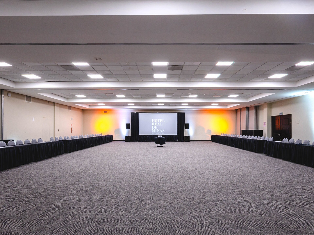 米纳斯皇家圣米格尔阿连德酒店主图