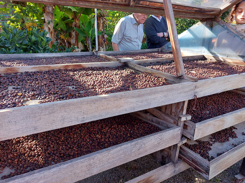 Bodega Los Berrazales-Agaete必去景点