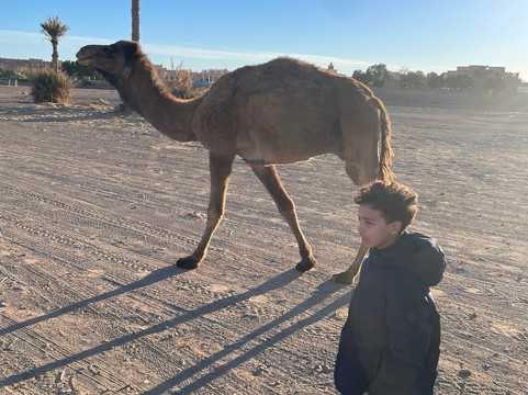 梅如卡摩达沙漠之旅-梅如卡必去景点