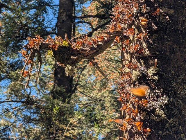 Tekpan Tours-墨西哥城必去景点