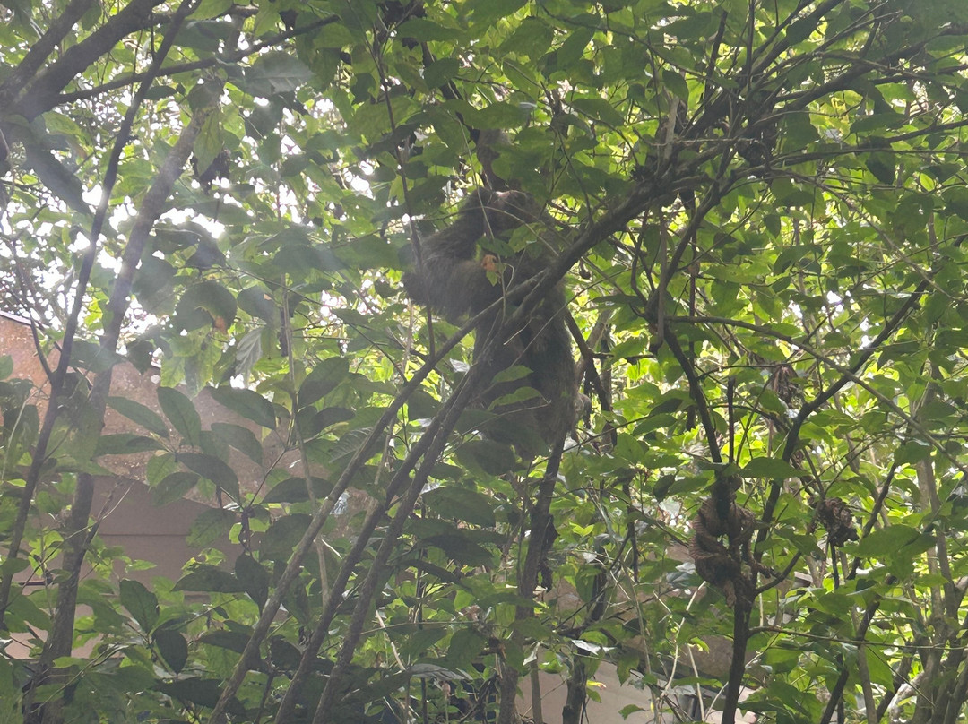 NexusTours-圣何塞必去景点