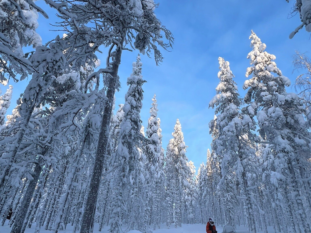 Tokka Snowmobile Safaris & Rentals-Sirkka必去景点