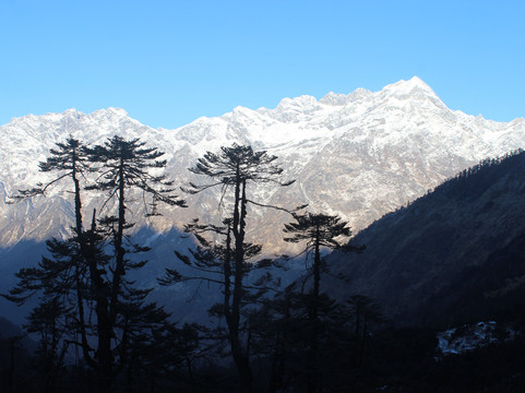 Endless Escapes Tours and Trek-甘托克必去景点