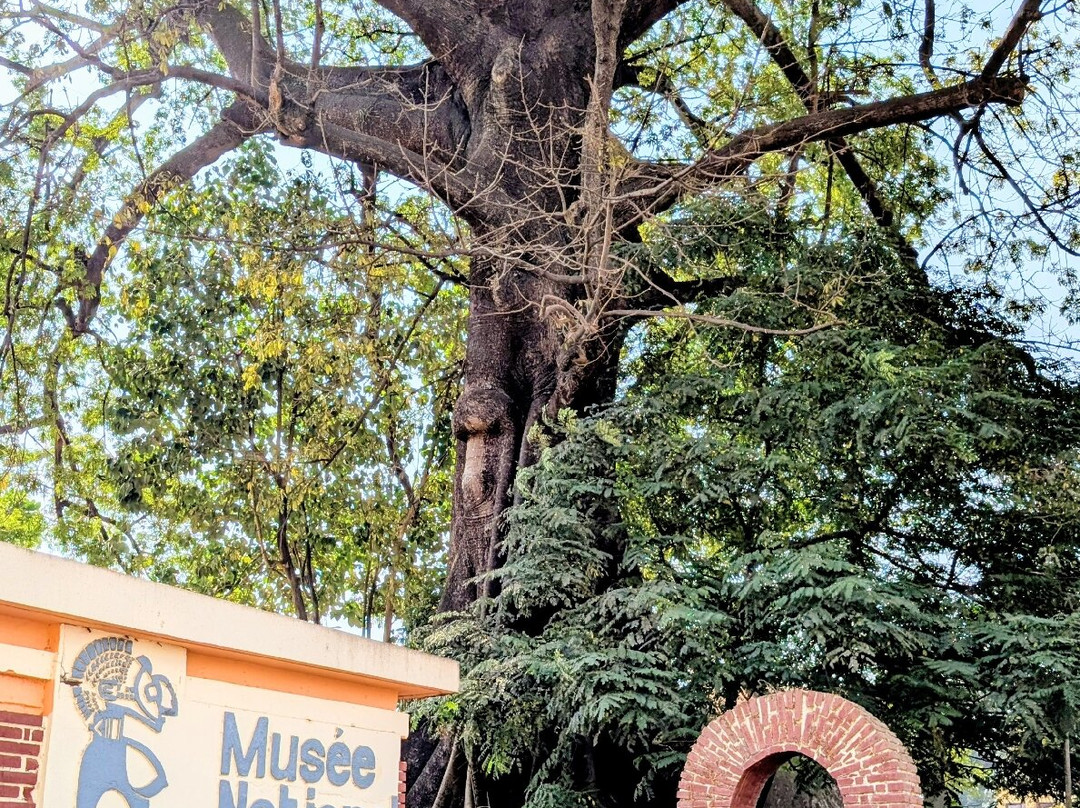 National Museum (Musée National)-柯那克里必去景点