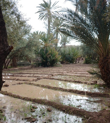 Skoura Oasis Tour Guide-Skoura必去景点